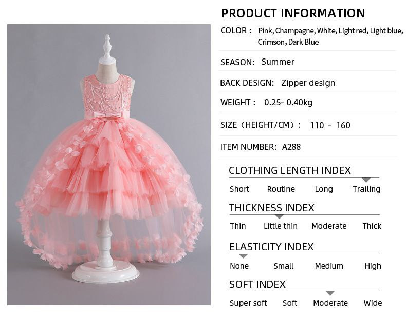 Robe de princesse de queue moelleuse en dentelle robe de banquet de fille de fleur performance